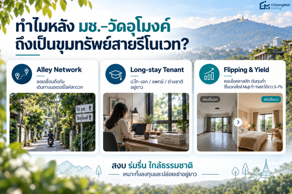 ทำไมคอนโดโซนหลัง มช. – วัดอุโมงค์ ถึงเป็นขุมทรัพย์สายรีโนเวท