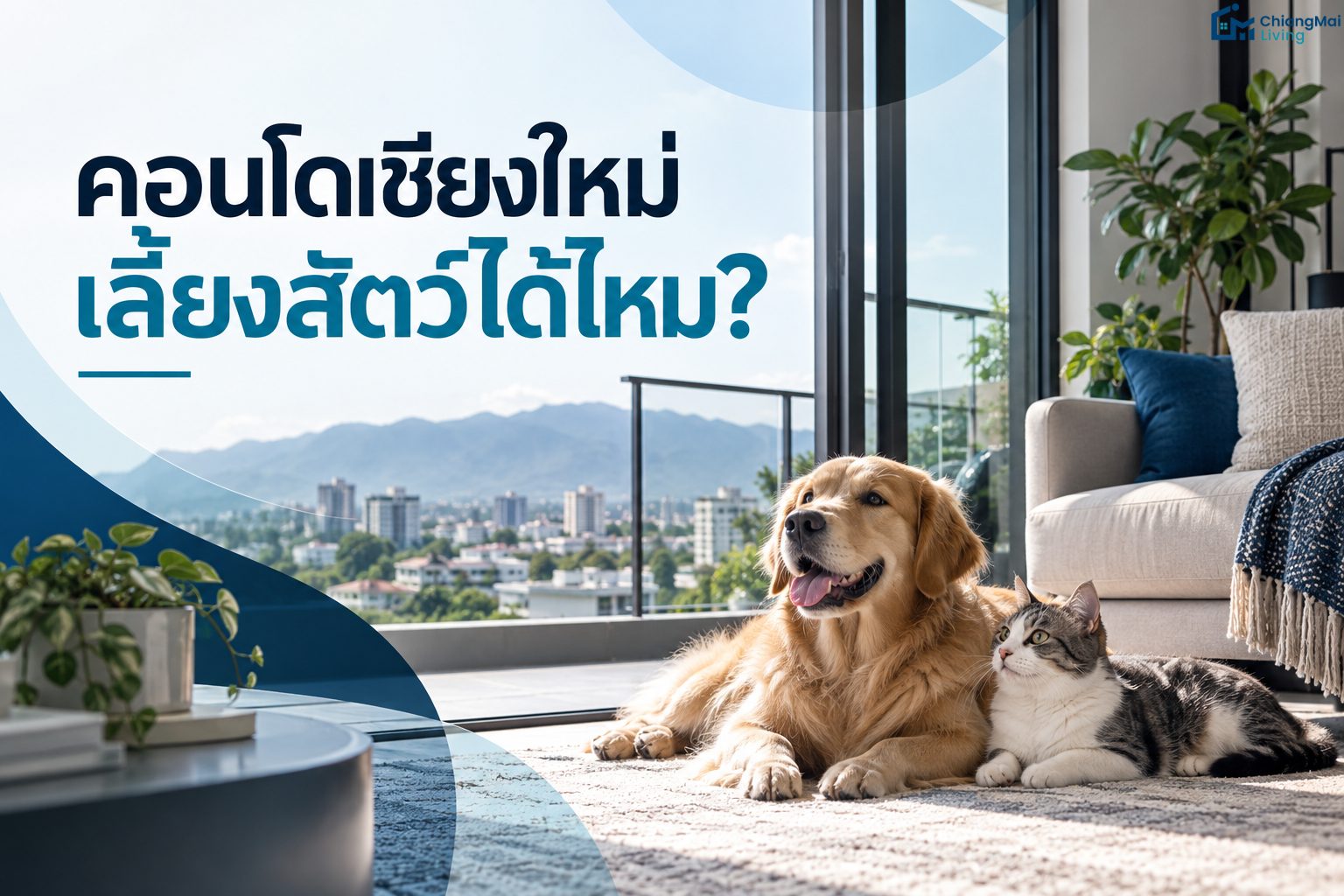 condo-pet-friendly-rules-chiang-mai