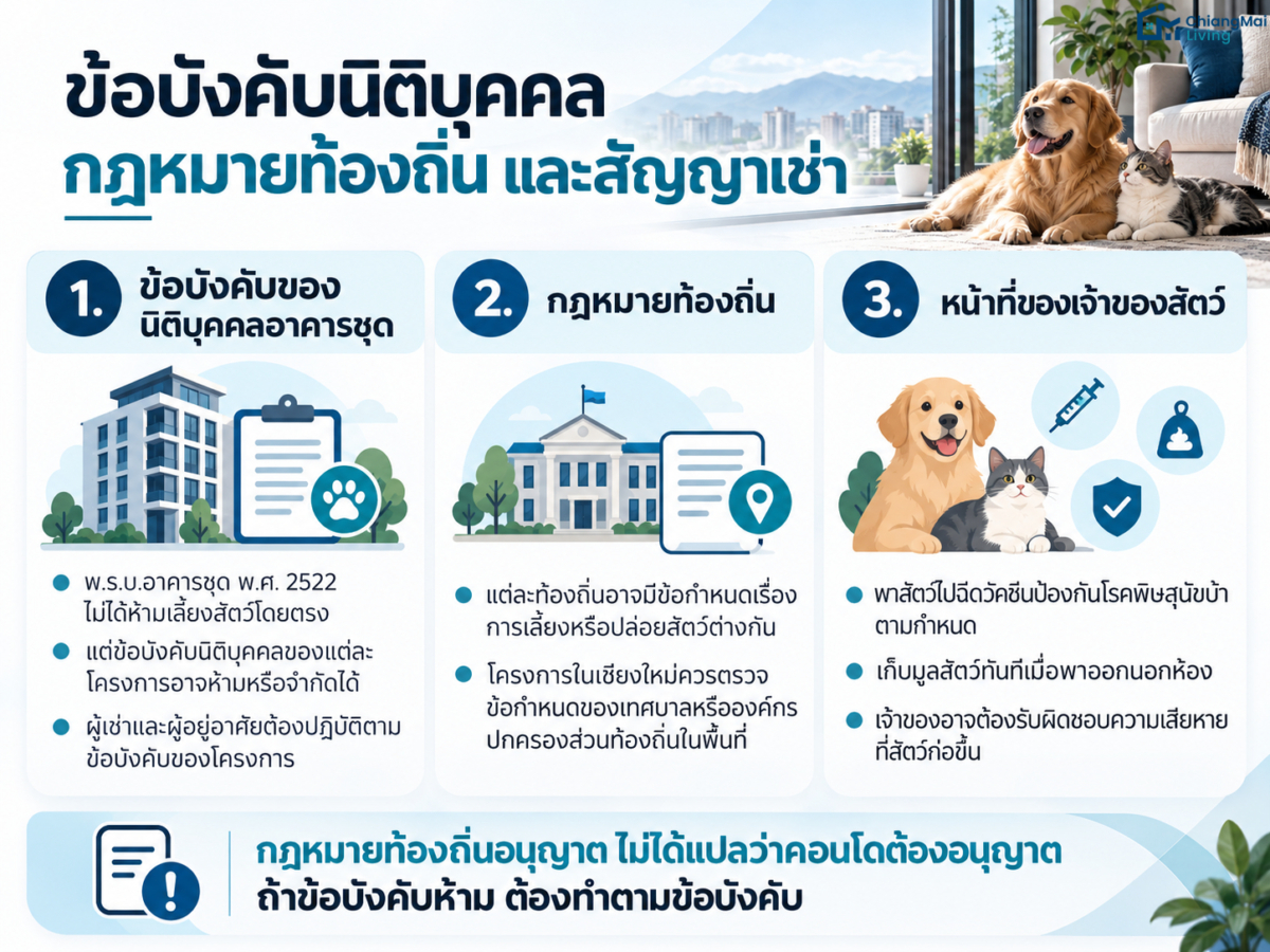 ข้อบังคับนิติบุคคล กฎหมายท้องถิ่น และสัญญาเช่า