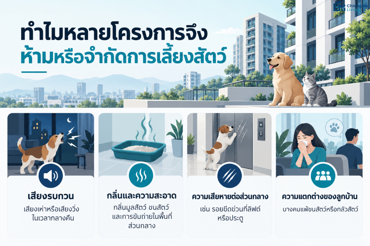 ทำไมหลายโครงการจึงห้ามหรือจำกัดการเลี้ยงสัตว์