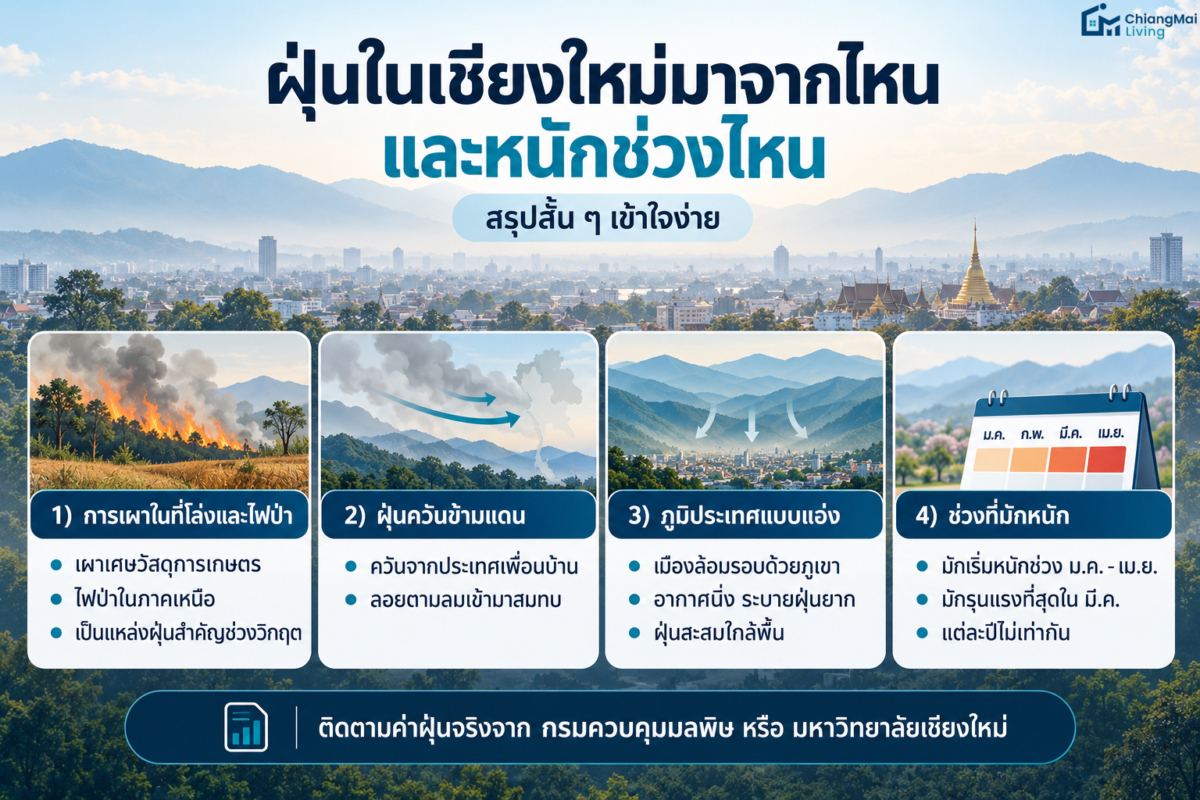 ฝุ่นในเชียงใหม่มาจากไหน และหนักช่วงไหน